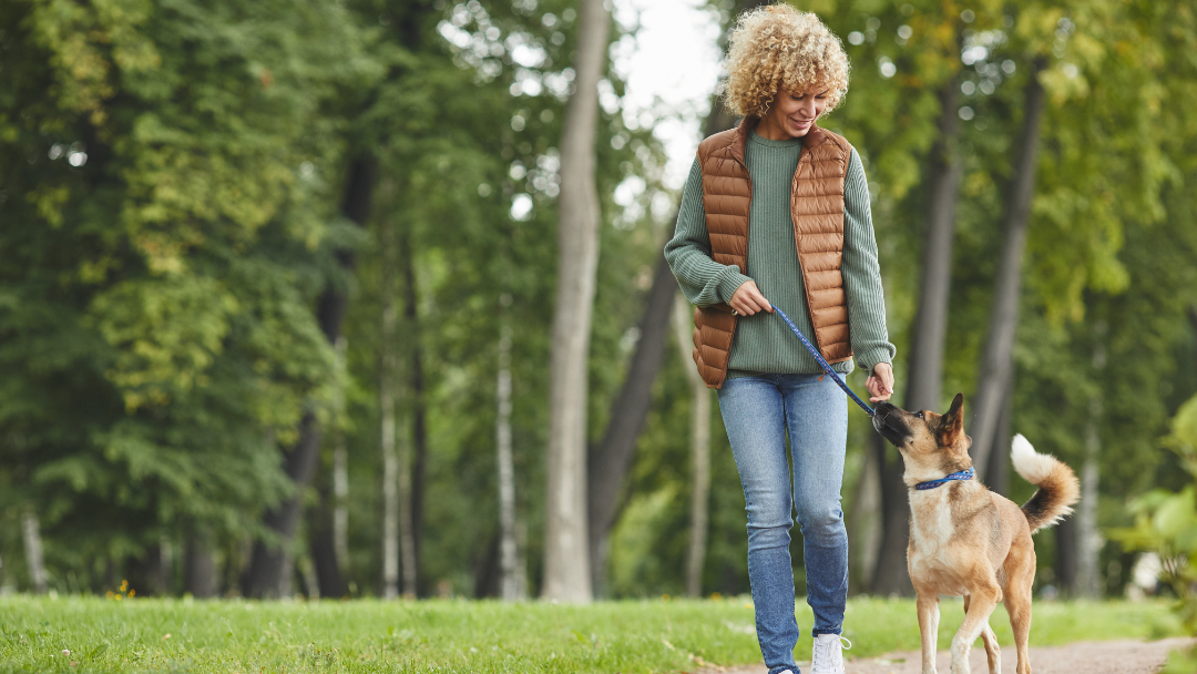 Vrouw wandelt met hond